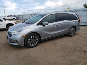  Salvage Honda Odyssey