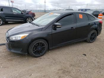  Salvage Ford Focus