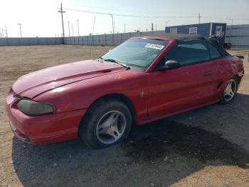  Salvage Ford Mustang