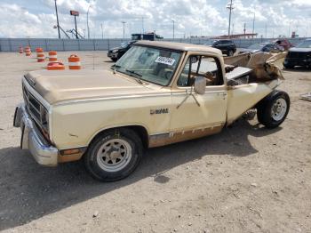  Salvage Dodge D Series