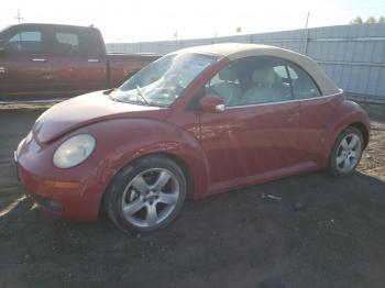  Salvage Volkswagen Beetle