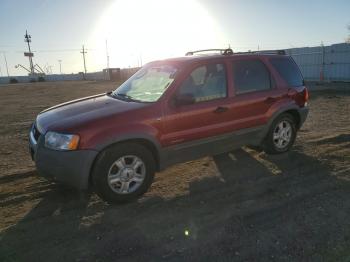  Salvage Ford Escape