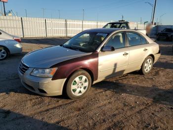  Salvage Hyundai SONATA