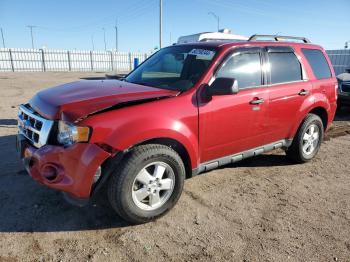  Salvage Ford Escape