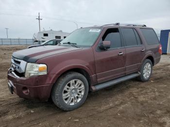  Salvage Ford Expedition