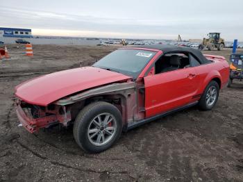  Salvage Ford Mustang