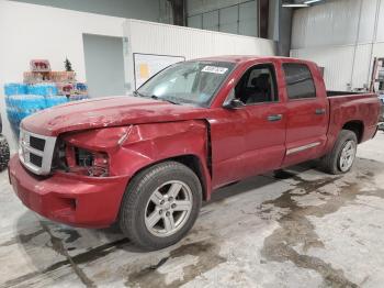  Salvage Dodge Dakota