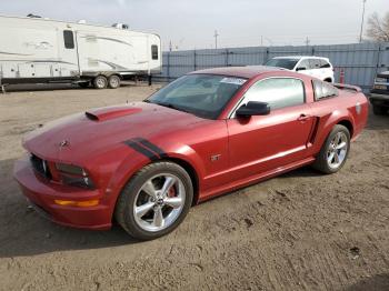  Salvage Ford Mustang