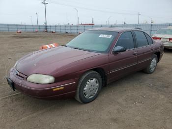  Salvage Chevrolet Lumina