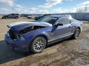  Salvage Ford Mustang