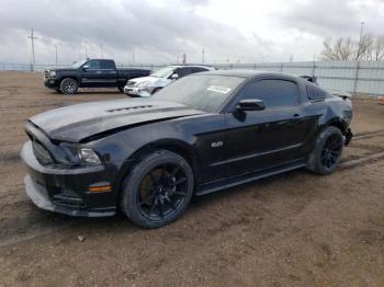  Salvage Ford Mustang