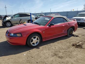  Salvage Ford Mustang