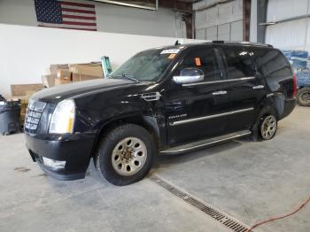  Salvage Cadillac Escalade