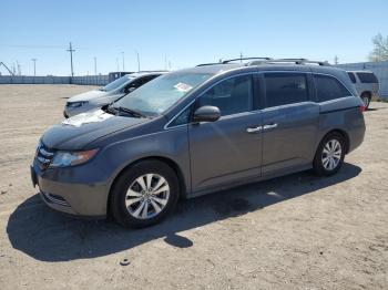  Salvage Honda Odyssey
