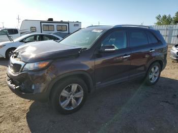  Salvage Kia Sorento