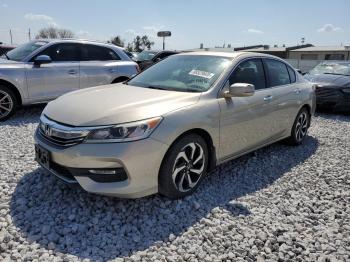  Salvage Honda Accord