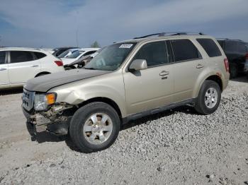  Salvage Ford Escape