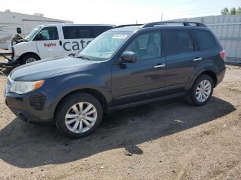  Salvage Subaru Forester