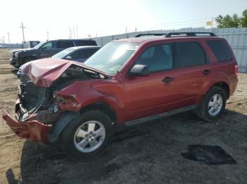  Salvage Ford Escape