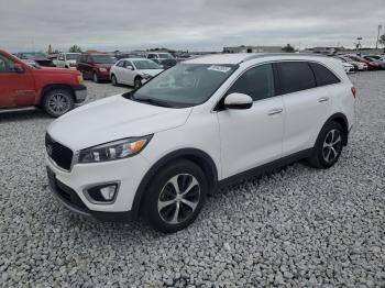  Salvage Kia Sorento