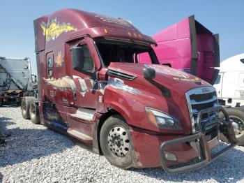  Salvage Freightliner Cascadia 1