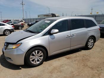  Salvage Honda Odyssey