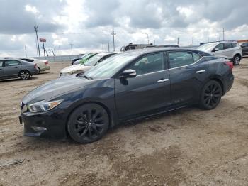  Salvage Nissan Maxima