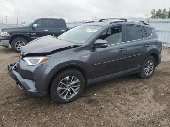  Salvage Toyota RAV4