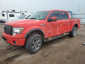  Salvage Ford F-150