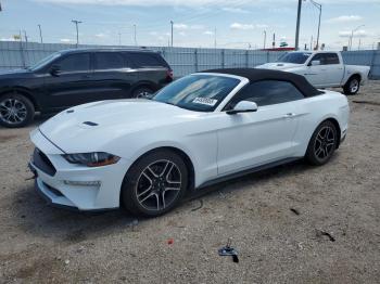  Salvage Ford Mustang