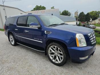  Salvage Cadillac Escalade
