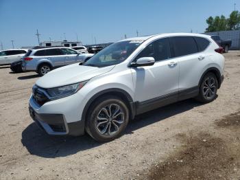  Salvage Honda Crv