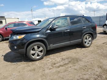  Salvage Kia Sorento