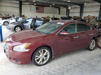  Salvage Nissan Maxima