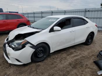  Salvage Toyota Corolla