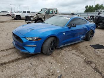  Salvage Ford Mustang