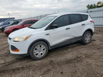 Salvage Ford Escape