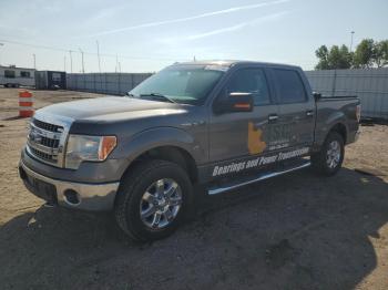  Salvage Ford F-150