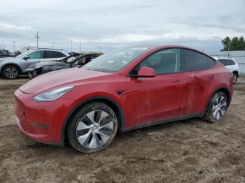  Salvage Tesla Model Y