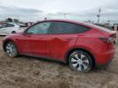 Tesla Model Y Image 3