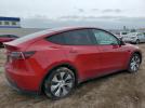 Tesla Model Y Image 2