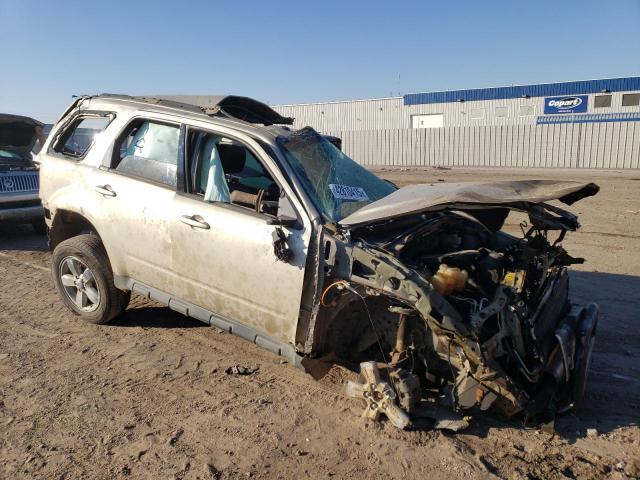 Ford Escape Limited Image 2