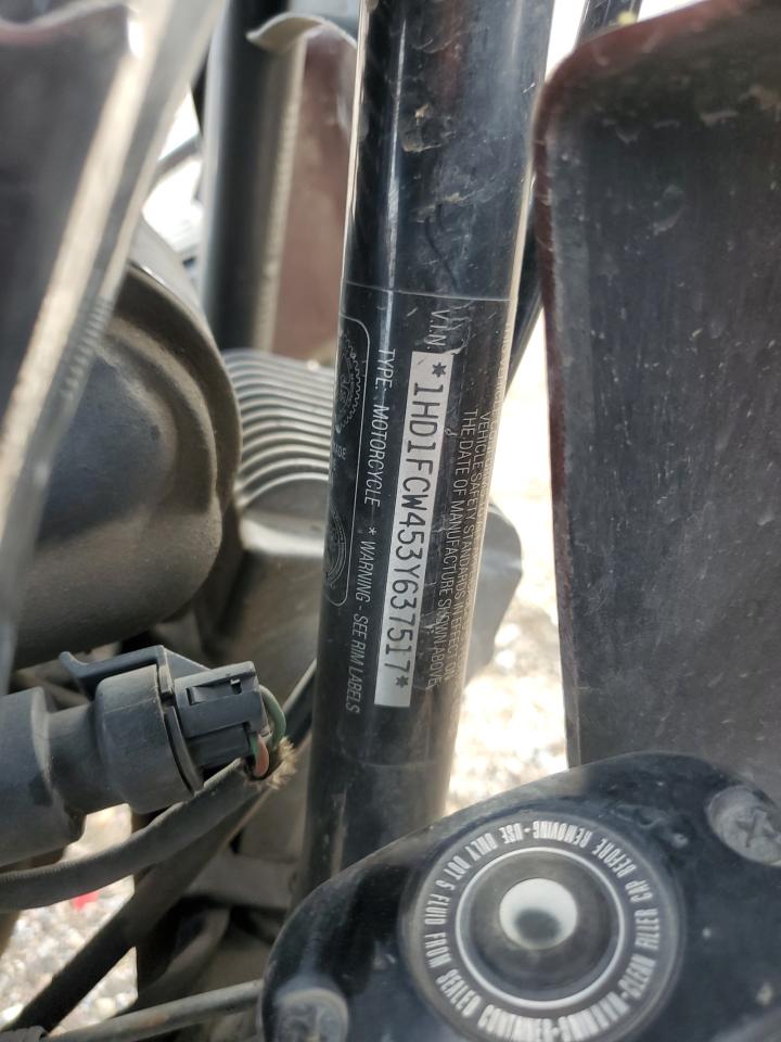 Harley-Davidson Fl Anniversary Image 3