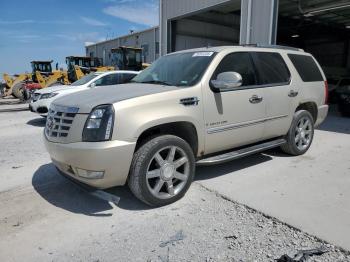  Salvage Cadillac Escalade