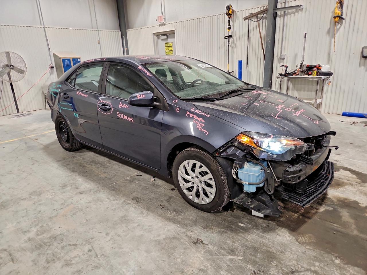 Toyota Corolla L Image 8