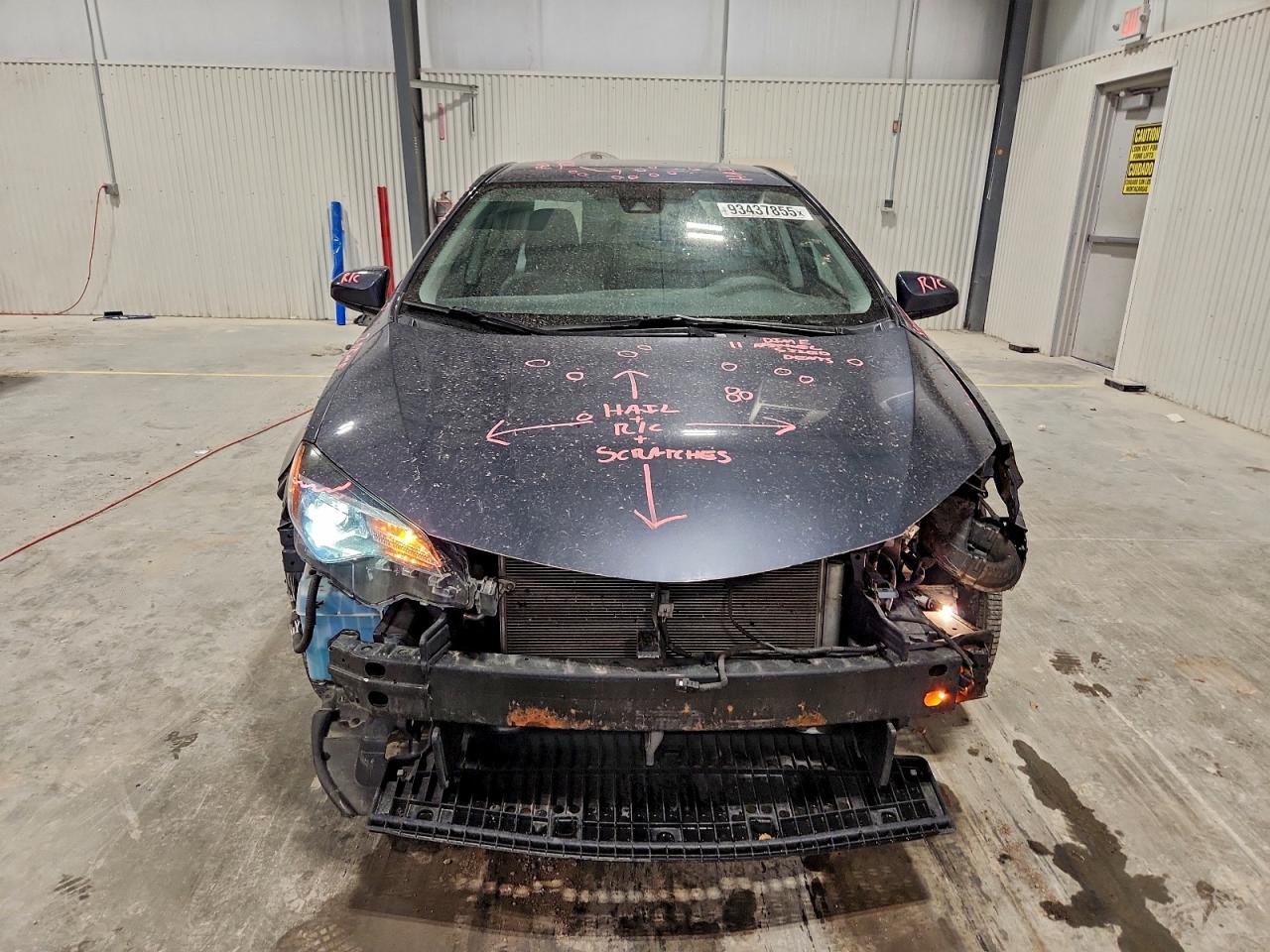 Toyota Corolla L Image 6