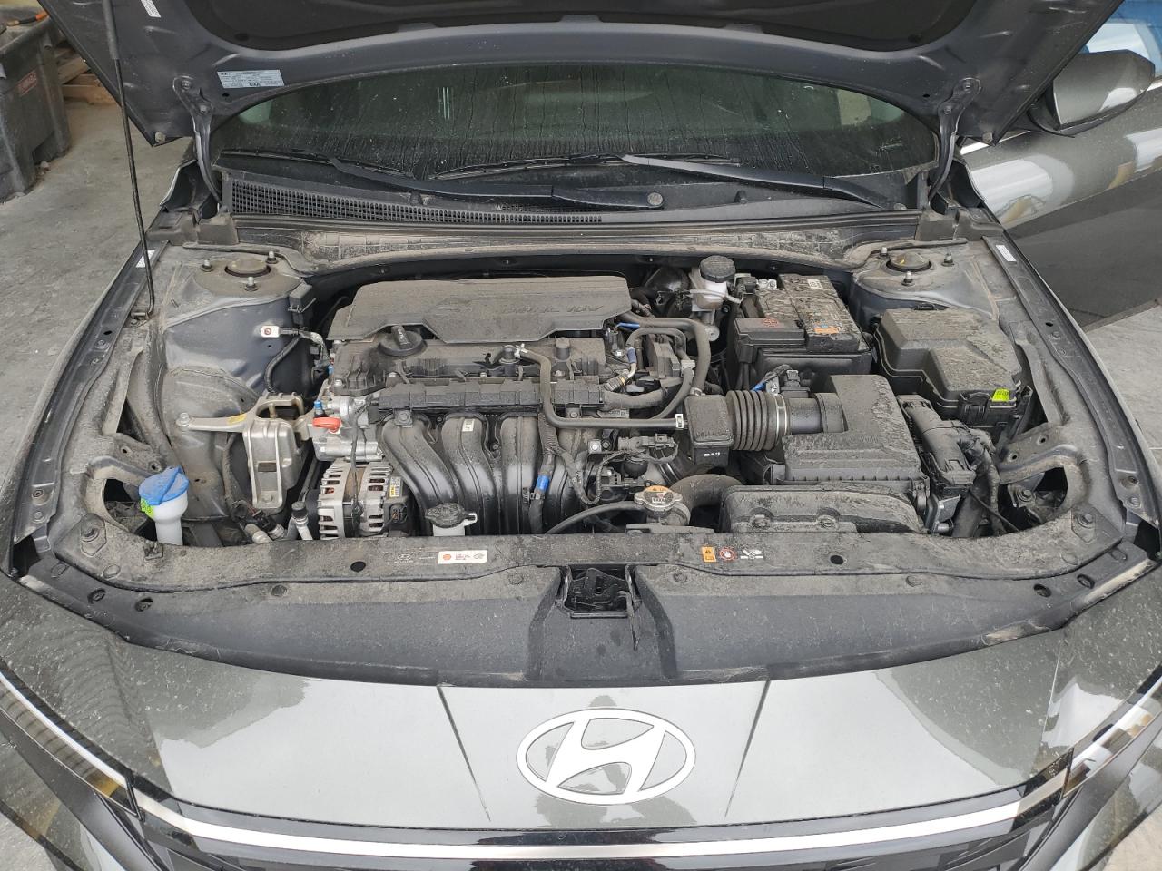 Hyundai ELANTRA Sel Image 8