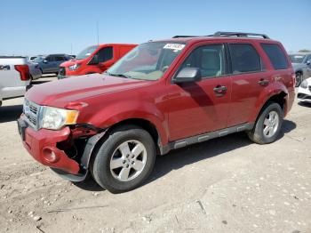  Salvage Ford Escape