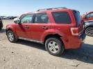 Ford Escape Xlt Image 2