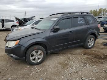  Salvage Subaru Forester